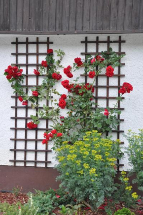 Vrtnarjeva hiša, The Gardener's Cottage